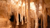 PICTURES/Caverns of Sonora - Texas/t_Popcorn Strands8.JPG